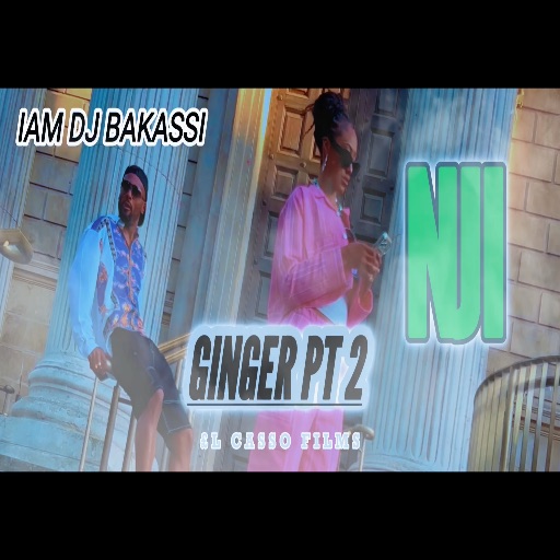 NJI X IAM DJ BAKASSI artwork